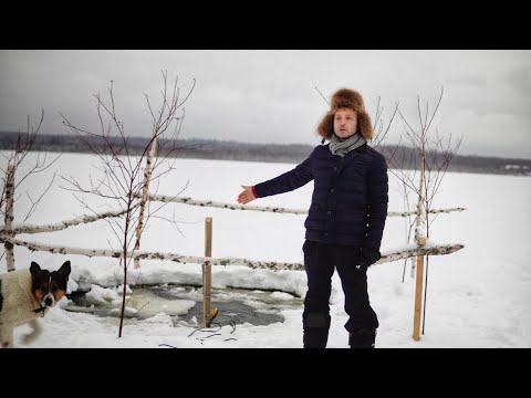 Видео: Эжекторный аэратор из фекального насоса. Рыба в шоке!!!