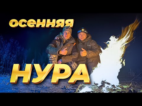 Видео: РЫБАЛКА НА НУРЕ 09.10.2025