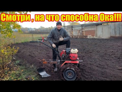 Видео: Вспашка огорода мотоблоком Ока!!!