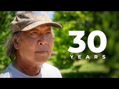 Видео: Фруктовый сад на заднем дворе | PARAGRAPHIC