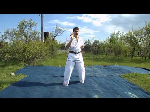 Видео: Изучаем ката, ч  14, Ката Теншо