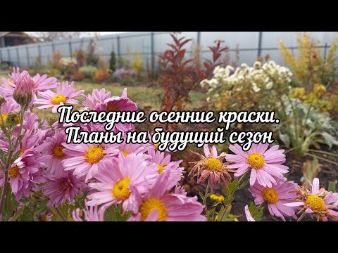 Видео: Осенний сад, планы на новый садовый сезон