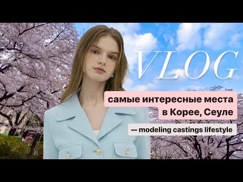 Видео: как проходит модельный контракт в Корее