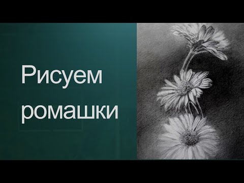 Видео: Как рисовать цветы карандашом. Получите 50 уроков в описании видео.