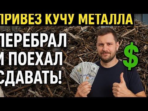 Видео: Привез кучу металла - перебрал и сдал, сколько я сегодня заработал!?