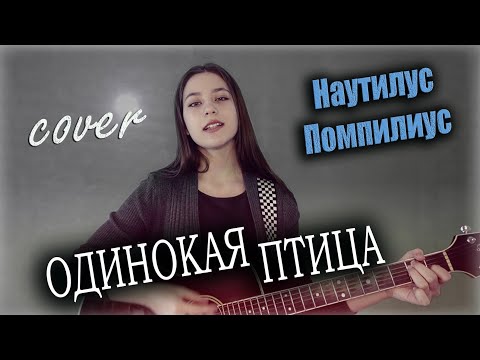 Видео: ОДИНОКАЯ ПТИЦА кавер на гитаре | Наутилус Помпилиус | на гитаре | cover Маша Соседко