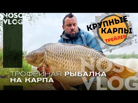 Видео: Ловля крупного карпа - трейлер