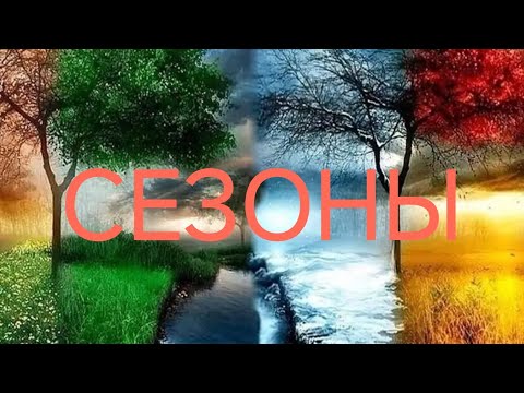 Видео: ВСЕ СЕЗОНЫ 💎💎💎. Кодовое слово сентября