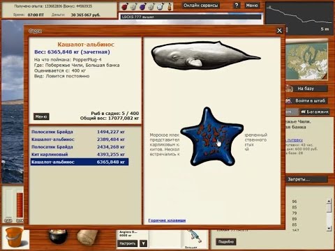 Видео: Русская Рыбалка 3.99 Кашалот-альбинос