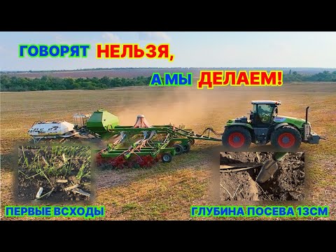 Видео: Выбор глубины сева озимой пшеницы.