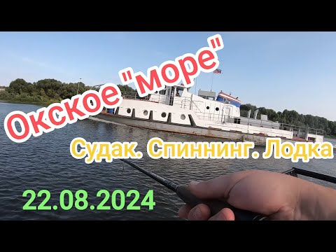 Видео: Ловля судака в "морских" условиях на Оке. Отличная раздача!