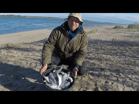 Видео: Как засолить чехонь в походных условиях