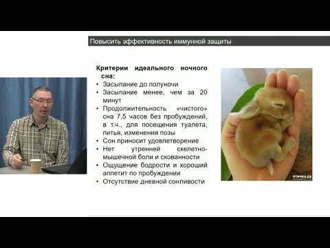 Видео: Как повысить эффективность иммунной защиты от инфекций