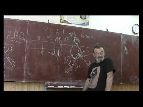 Видео: Драконоведение. Часть 37