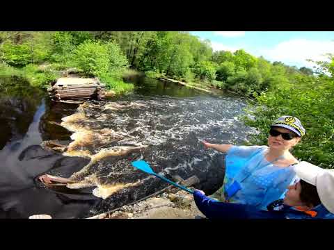 Видео: Сплав на пакрафте по реке Гусь в начале июня по разливу