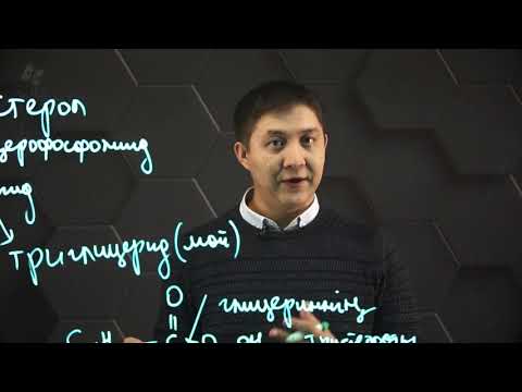 Видео: Майлар. 11 сынып.