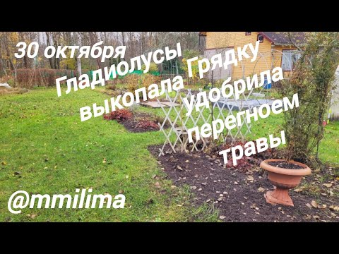 Видео: Дачный сезон закончен .#дача #литва #висагинас #гладиолосы #яблоки #уборка #природа 