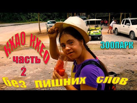 Видео: КХАО КХЕО - 2 ЧАСТЬ | ЭТИ МИЛЫЕ ЖИВОТНЫЕ | ПАТТАЙЯ | ТАЙЛАНД