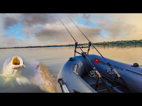 Видео: ПРИПЛЫЛ НА ДИКИЙ ОСТРОВ, ЗАКОРМИЛ ТОЧКУ И НАЧАЛОСЬ! Рыбалка летом 2023