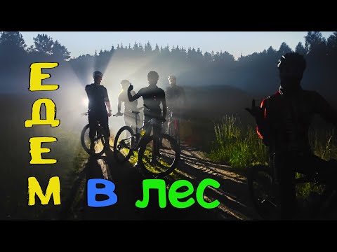 Видео: Ночная покатушка через лес На велосипедах ночью в лес🌲 /18.06.2021/