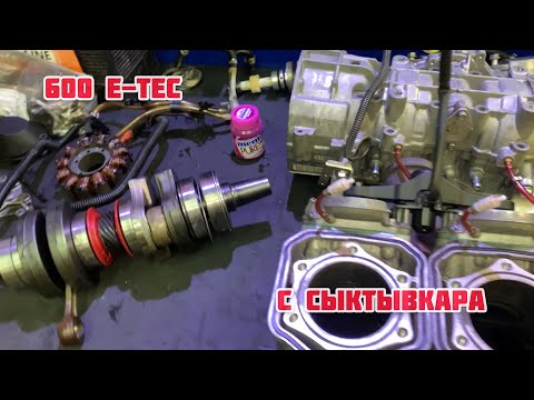 Видео: 600 E-Tec с Сыктывкара