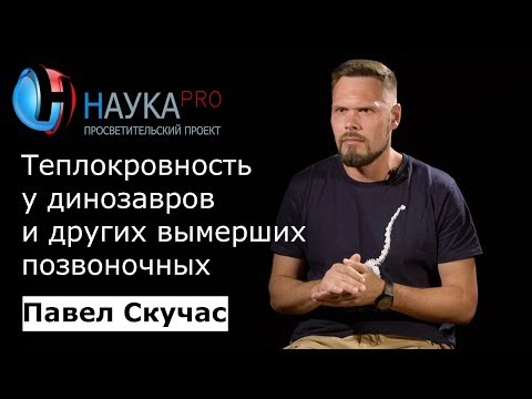 Видео: Теплокровность у динозавров и других вымерших позвоночных – палеонтолог Павел Скучас | Научпоп