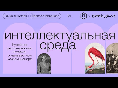 Видео: Музейное расследование: история о неизвестном коллекционере