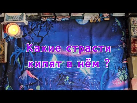 Видео: Какие страсти в нём кипят?🔮🍀🦋❤️🔥😵‍💫😯🤯