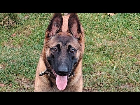 Видео: Увеличиваю время поединка. Проблемы с ногами и пустой правой рукой. 