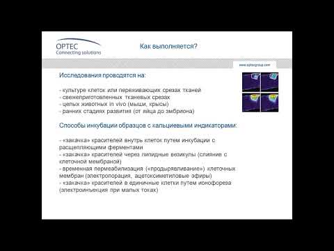 Видео: Вебинар «Кальциевый имиджинг в конфокальной микроскопии», часть 1