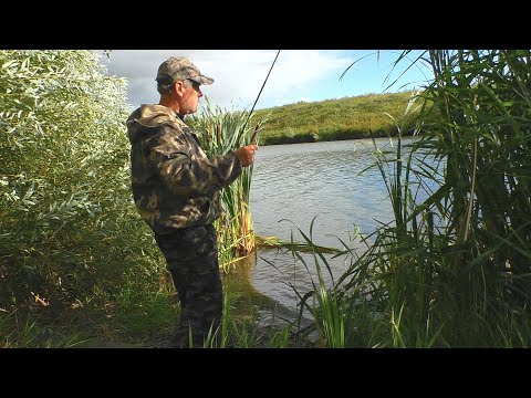 Видео: Рыбалка на поплавок в середине сентября 2022