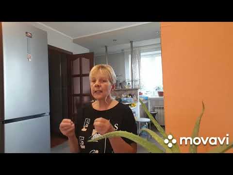 Видео: ЖИВЕМ В ДЕРЕВНЕ/ БЕЛАРУСЬ. Почему я раньше не смотрела эти видео! ОЗАРЕНИЕ.