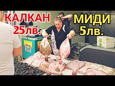 Видео: Рибен пазар Варна, юли месец! Прясна риба, миди, скариди и раци!