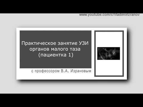 Видео: Практическое занятие: УЗИ органов малого таза у женщин (пациентка 1)