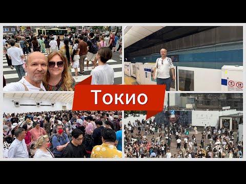 Видео: #17 Ужас на выходе с лайнера в Йокогаме, толпа бунтует. Токио, Сибуйя! От нас отказалась экскурсовод