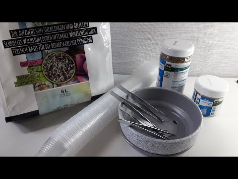 Видео: КОМНАТНЫЕ РАСТЕНИЯ(ЦВЕТЫ).ПОКУПКИ.