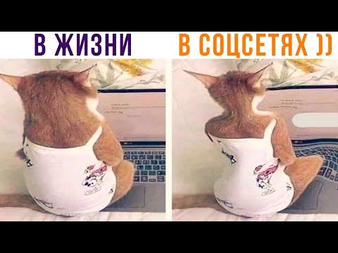 Видео: ФОТОШОП? ))) | Приколы | Мемозг 1337