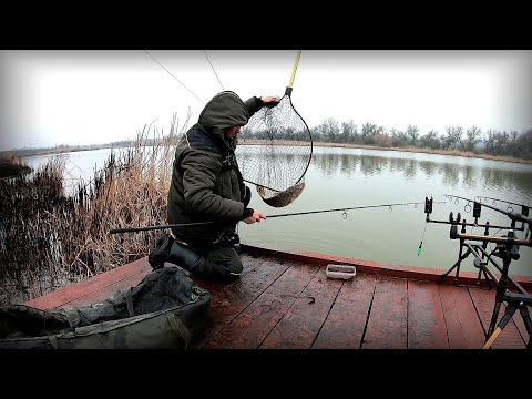 Видео: Після карасів, підійшли коропа! Такий кльов, аж шапка на вухах піднялась!!!