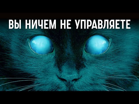 Видео: КАК ЖИТЬ В МИРЕ БЕЗ ПРАВИЛ? / Редакция.Наука