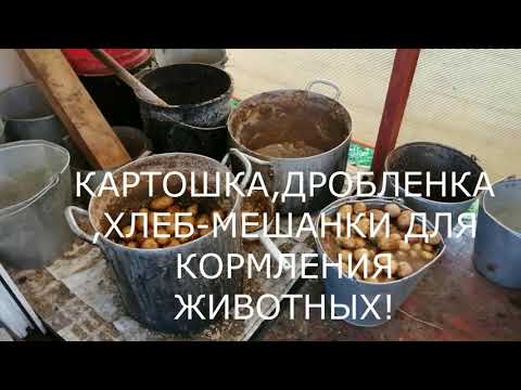 Видео: КАРТОШКА,ДРОБЛЕНКА,ХЛЕБ-МЕШАНКИ ДЛЯ КОРМЛЕНИЯ ЖИВОТНЫХ НАШЕГО ХОЗЯЙСТВА!КАК ВСЕ ЗАПАРИТЬ И СВАРИТЬ!