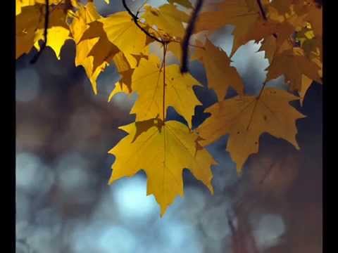 Видео: Прощання 🍂 Farewell