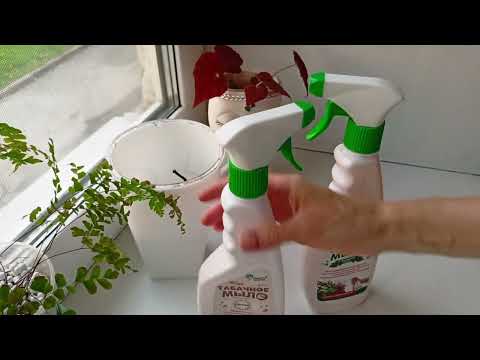 Видео: моя хойка погибает 😭/ покупки для растений🪴🪴🪴🪴🪴🪴