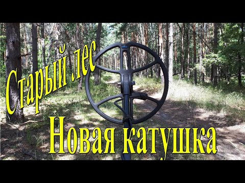 Видео: Как работает в лесу новая катушка Magic 13 для Minelab X Terra 18,75 кГц?