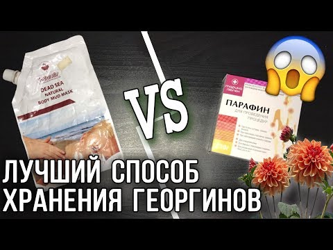 Видео: КАК ХРАНИТЬ ГЕОРГИНЫ? Два надежных способа!