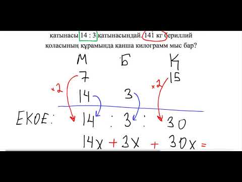 Видео: НИШ. БИЛ. РФМШ дайындық. Қатынас