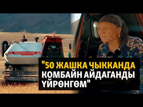 Видео: Жумгал: комбайнчы Жамила апа, тоодогу суу тегирмен | ДАНИСТЕ