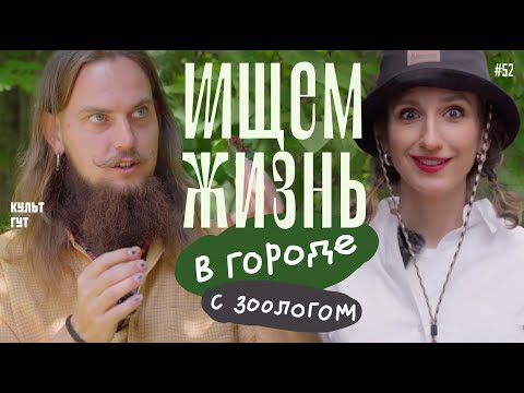 Видео: Исследуем природу в городе с зоологом, звездой Tik-Tok Павлом Лисицыным