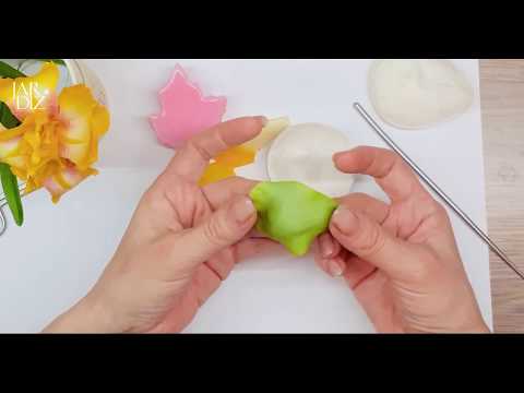 Видео: Урок 1. Как правильно раскатывать холодный фарфор в руке при помощи стека.