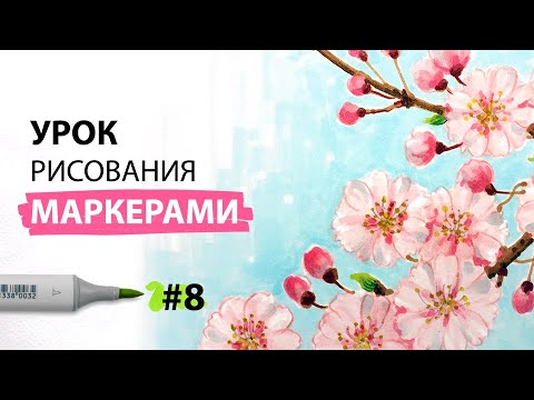 Видео: Как нарисовать цветущую сакуру? / Урок по рисованию маркерами для новичков #8