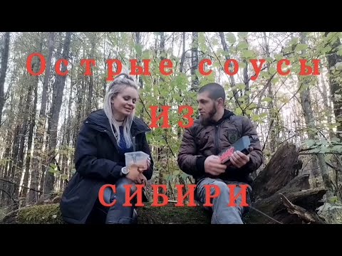 Видео: Набор острых сибирских соусов (Burning Bear) 😜🌶️🧯
